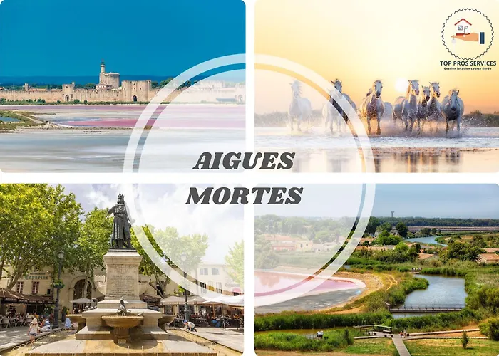 Cosyfamily 1er Etage Piscine -wifi- Neuf-famille -15min - Pros Servicesconciergerie Апартаменты *