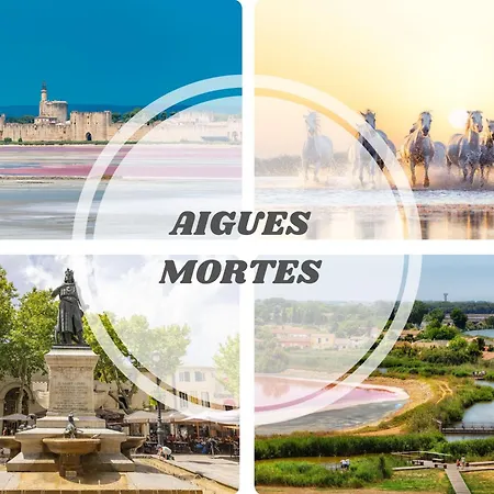 Cosyfamily 1er Etage Piscine -wifi- Neuf-famille -15min - Pros Servicesconciergerie Apartmán *