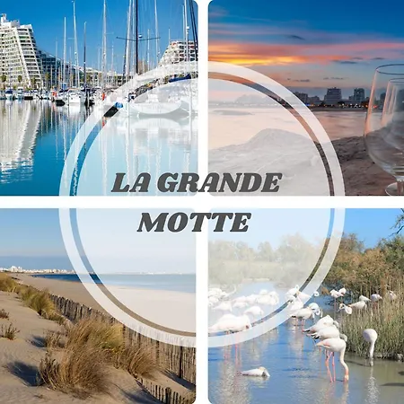 Cosyfamily 1er Etage Piscine -wifi- Neuf-famille -15min - Pros Servicesconciergerie